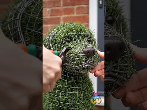 Whimsical Wonders: The Story of the Enchanted Green Pup at Versailles 🌟🐶