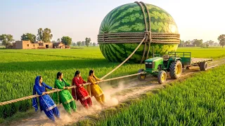 🍉  Giant Watermelon Cooking Challenge 😱 Punjabi Village Women