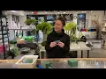 How to use Oasis Foam Blocks