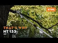 STIHL HT 133 pole pruner Light weight high power That s why