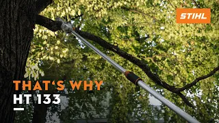 STIHL HT 133 pole pruner Light weight high power That s why