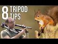 Wildlife Photography for Beginners - 8 Essential TRIPOD TIPS