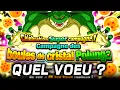 QUEL VOEU PORUNGA PRENDRE sur Dokkan Battle Tanabata 2026