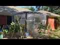 Aldi pergola greenhouse