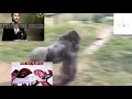 Ice Spice - Think U The Shit (Fart) OFFICIAL VIDEO LEAK! [RARE] (2024)