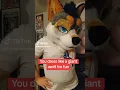 Download Lagu #fy #furry #cute #furries #shorts #furrycontent #fyp #viralshorts #foryou #fypage #viral #4you #4u