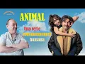 Download Lagu ANIMAL - Serie protagonizada por Luis Zahera y Lucía Caraballo sobre la importancia de lo fútil.
