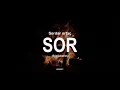 Download Lagu Sor - Serdar Ortaç (Sözlü Lyrics)