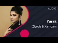 Download Lagu Ziyoda va Xamdam - Yurak | Зиёда ва Хамдам - Юрак (AUDIO)