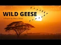 Wild Geese by Mary Oliver