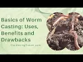 Basics of Worm Casting Uses Benefits and Drawbacks
