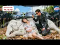Download Lagu Nona Kaya Dikhianati Suami Dan Selingkuhan, Dibuang Ke Hutan Namun Bos Kaya Menikahinya
