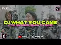 Download Lagu DJ WHAT YOU CAME X TEKI GAN PARGOY SANTUY BASS JEDUG‼️DJ FYP TIKTOK VIRAL 2022‼️