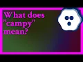 From the Urban Dictionary Camp n or Campy adj refers to intentionally exaggerated thematic
