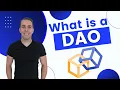 What Is a DAO and How Does It Work - Introduction To DAOs For Beginners