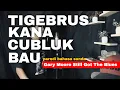 Lagu Gary Moore - Still Got The Blues parodi sunda ngiSINGER (TIGEBRUS KANA CUBLUK)