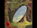 Mirrors - Antdot