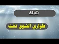 شيلة طواري الشوق دقت جديد بلدي اداء المنشد ابو حمزه الحنفاشي ومحمد عبد الغني