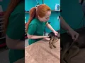 Dr Jeff Dr Petra Unleashed