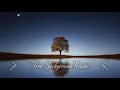 Download Lagu 1 Hour Upbeat Background Music Best MBB Music Collection Free Download, No Copyright