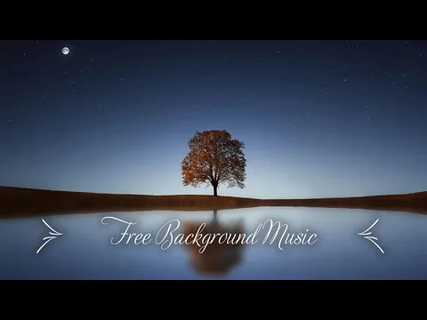 Download MP3 1 Hour Upbeat Background Music Best MBB Music Collection Free Download, No Copyright