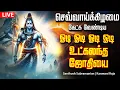 🔴LIVE SONG| திங்கட்கிழமை அன்று கேளுங்கள் சக்தி வாய்ந்த ஓடி ஓடி ஓடி ஓடி உட்கலந்த ஜோதியை Sivan Song