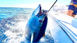 INSANE TUNA fishing in PANAMA // DOUBLE HEADER and Sometimes they FIGHT BACK