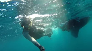 EP.9 Sailing Vessel Prism; Exploring Mexico’s Pacific Islands