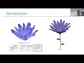 Flower Factory A Component-based Approach for Rapid Flower Modeling