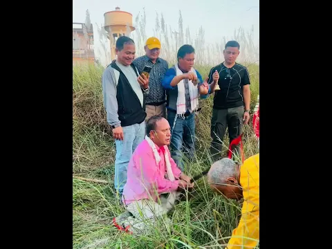 #jaynepal