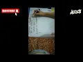 Reverse Word using Stack Data Structure and Algorithms