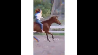 الشوق شد اشعاري 