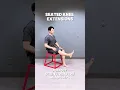 3 Seated knee Extension