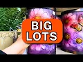 Big Lots What s New Fantastic Finds