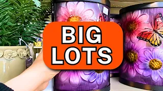 Big Lots What s New Fantastic Finds