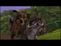 Over The Hedge Dog Chase 2006