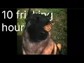 Download Lagu i have no enemy dog (dog with butterfly on nose) 10 HOURS (sped up)
