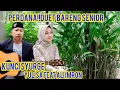 Download Lagu kunci syurge,Yulisa feat ali imron