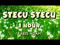 Download Lagu Stecu Stecu (1 Hour) - Faris Adam