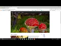 HTML Bangla Tutorial Part 18