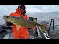 BEST WALLEYE GUIDE in Wisconsin