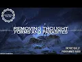 Removing Thought Forms and Parasites Energetically Programmed Maitreya Reiki