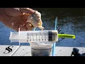 Effective Sheepshead Fishing Technique They Don t Want YOU to Know