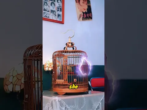 This bird cage can travel through time and space.#movie #shorts