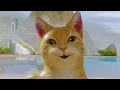 Download Lagu https://youtu.be/S19UcWdOA-I?si=vGugoiMD4V2w3o_m