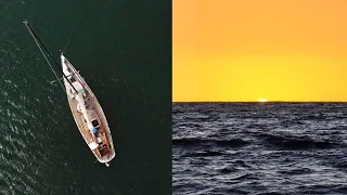 END OF THE WORLD? wild baja sightings