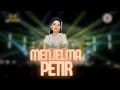 Download Lagu MENJELMA - PETIR WULAN LIDA |  Mardatila Group