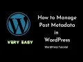 How to Manage Post Metadata WordPress Beginners Tutorial Tutorial - 19
