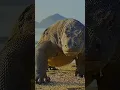 Download Lagu Tranformasi Komodo Dragon Animal Raksasa #shorts #shortvideo #short #shortsvideo