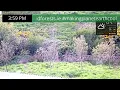 Live Camera Axis P5655-E